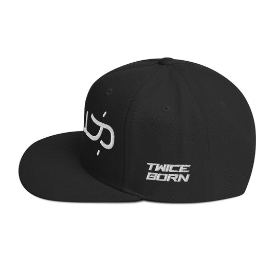 REBORN SNAPBACK