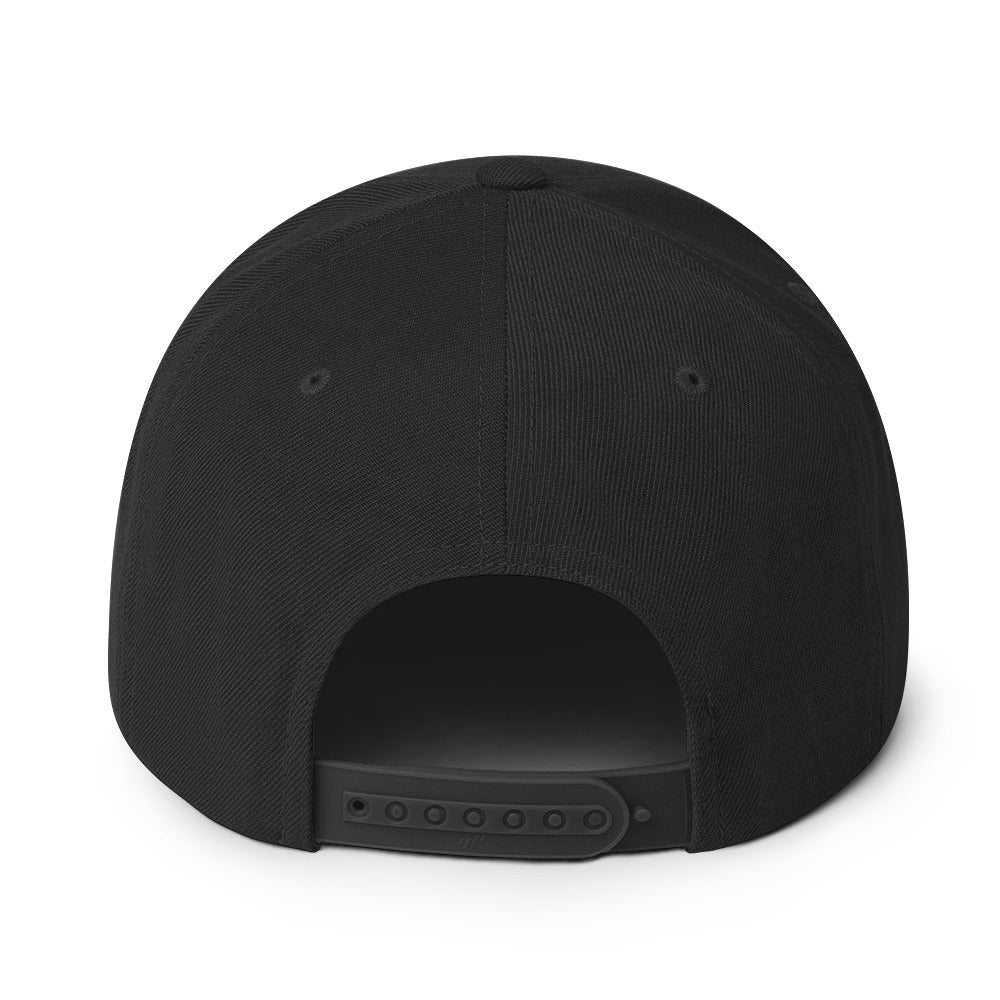 REBORN SNAPBACK